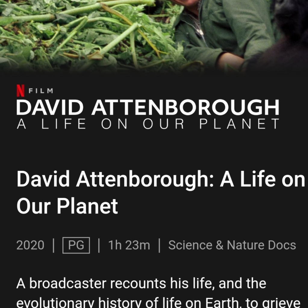 JaneScheufler's tweet photo. David Attenborough describes this documentary as a personal witness statement at the age of 93 and after a lifetime of teaching us about the wild world of our planet. Articulate, sobering and hopeful if we pay attention. https://t.co/Wl6gyJexpT