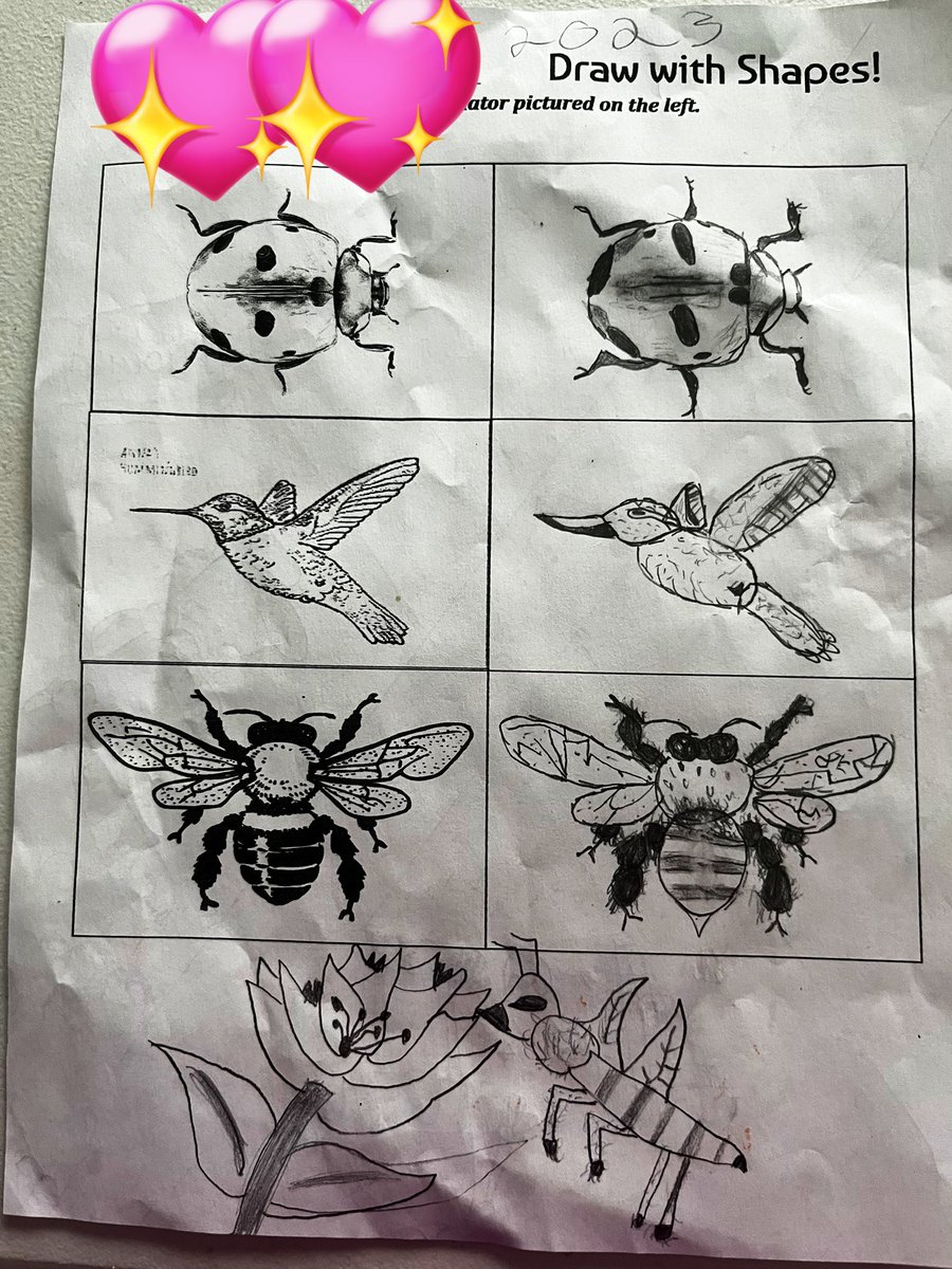 I couldn’t be more proud of my lil artist! She has used her learning from @ELeducation Module 3 and scientific drawings to capture this High Quality Work on pollinators! #effort #secondgrade #modelofexcellence @BuckhornCreekES
