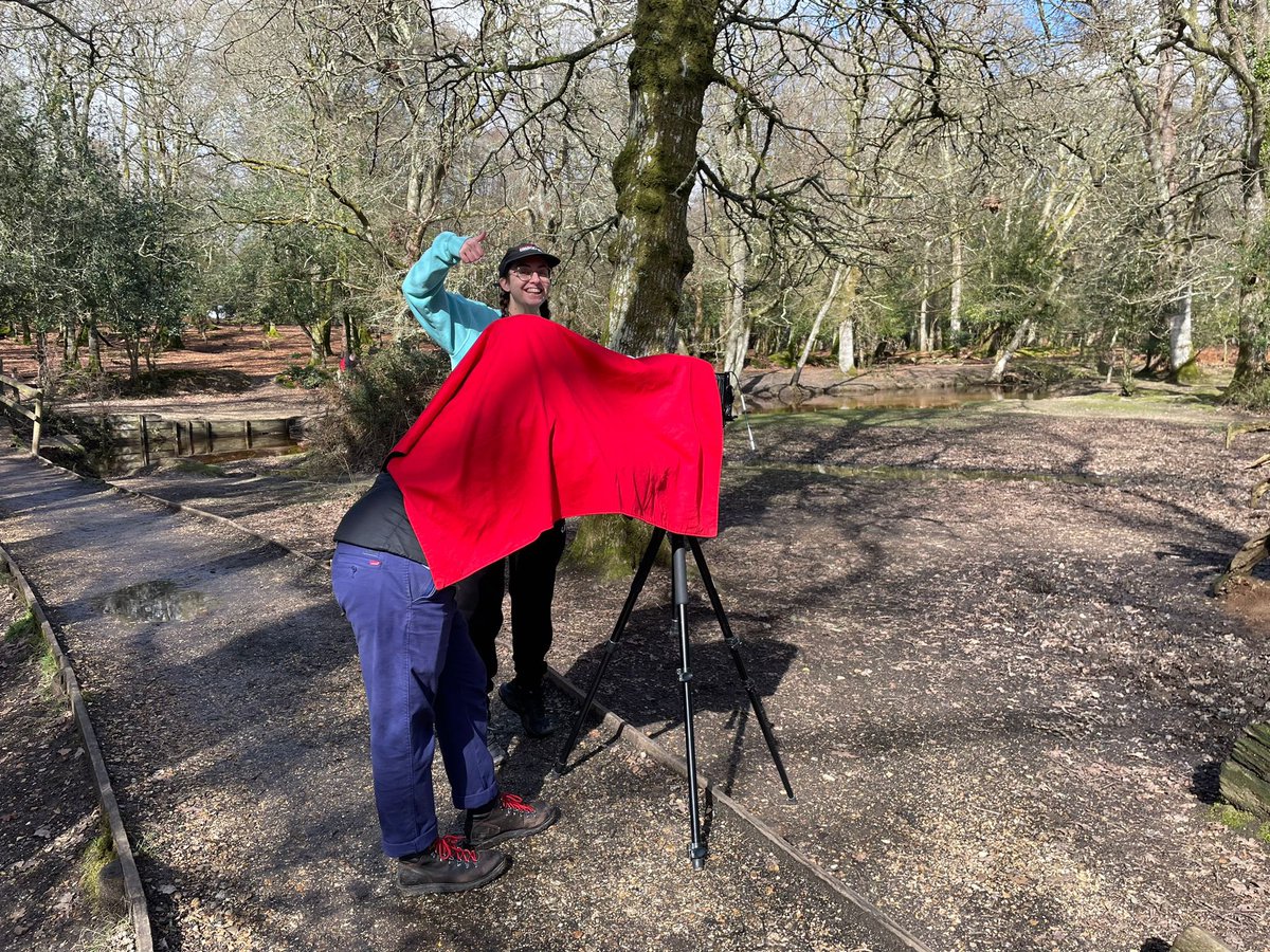 Solent Photography tweet media