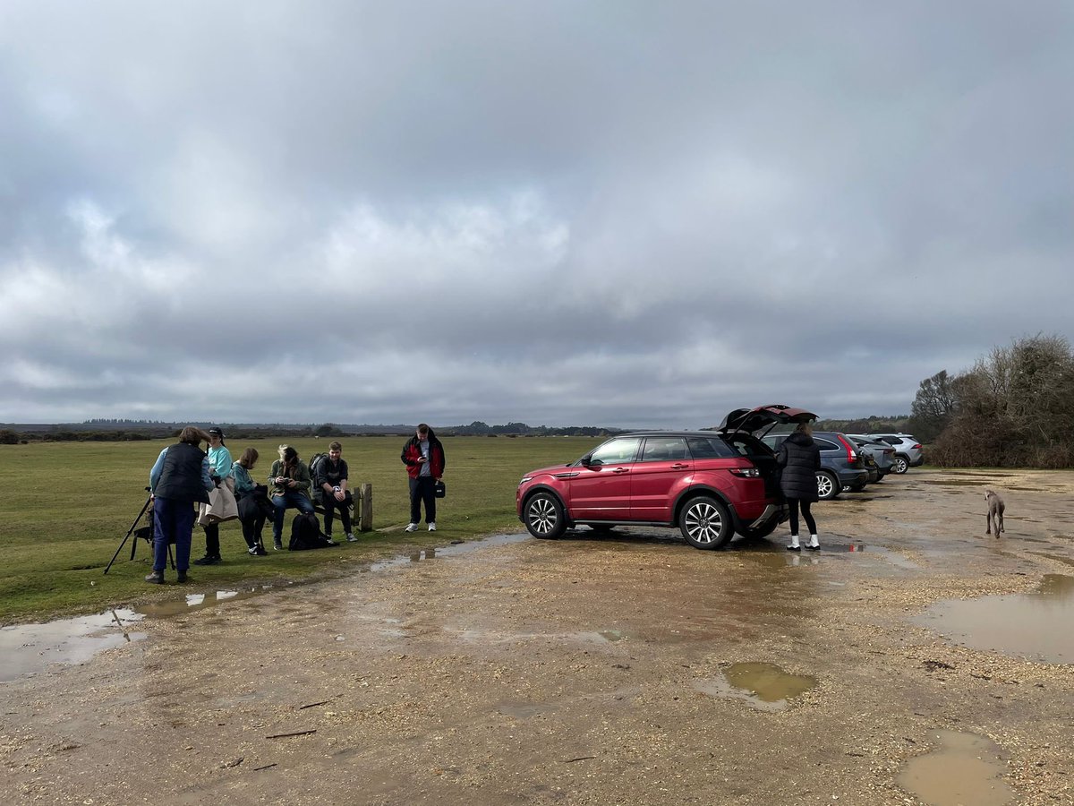 Wonderful day in the New Forest today shooting 5x4 with students, ponies, <a href="/guy_moreton/">Guy Moreton</a> &amp; simon.griggs