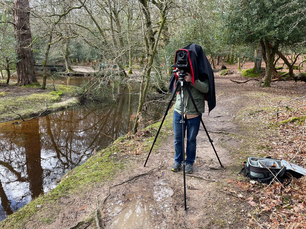 Solent Photography tweet media