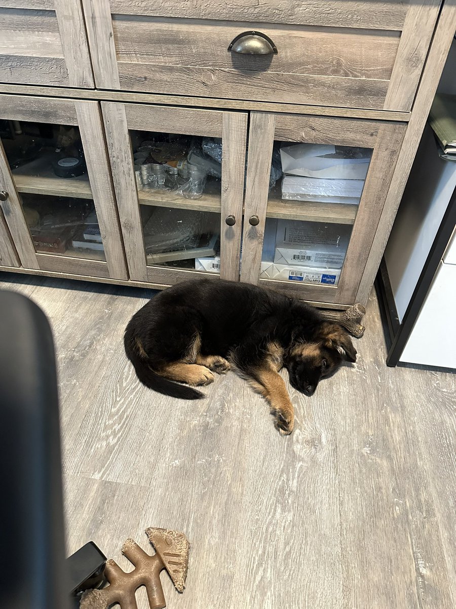 Saphira613's tweet photo. She’s had a very rough day 🤔 https://t.co/txRDBNYh8c