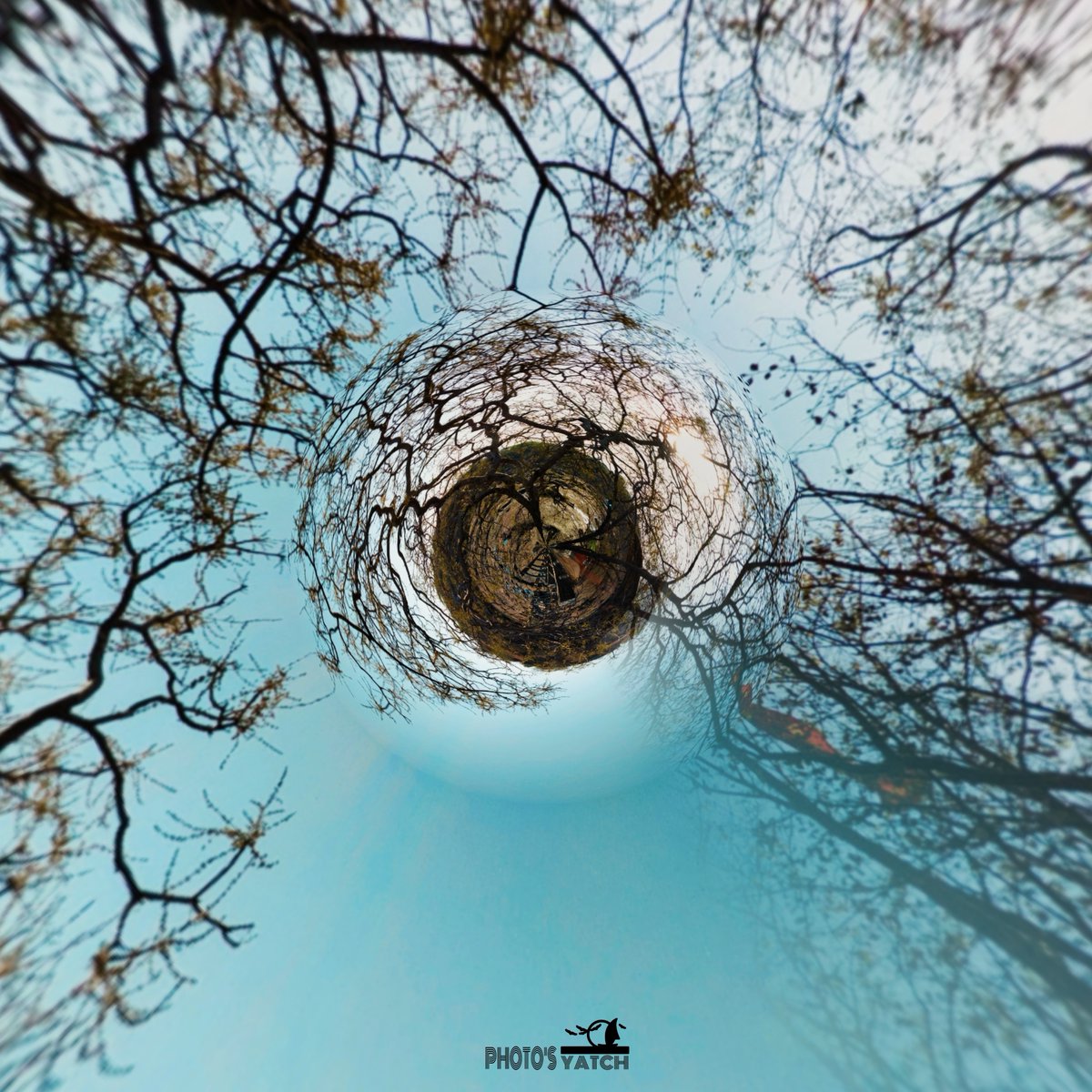 Beyond reality there is another dimension which can be seen by crazy peoples only 😎🌀 . . #picoftheday #NaturePhotography #nature #NatureBeauty #naturelovers #trees #creativity #quoteoftheday #TweetDeck #wanderlust #travelphotography #Travel #Peace