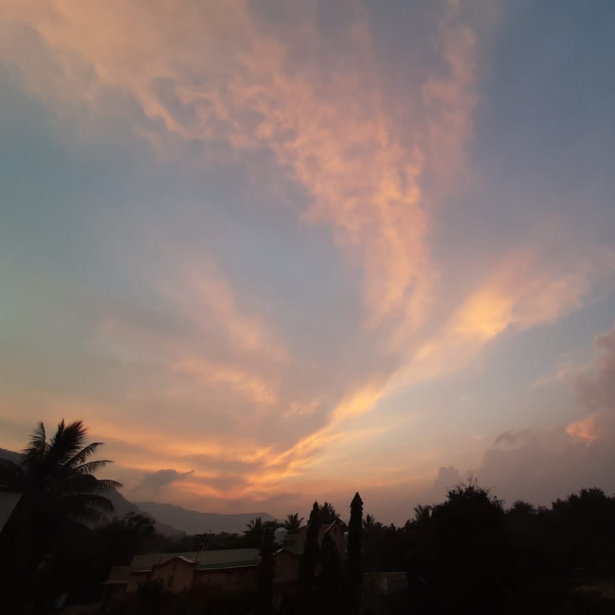 _prathampawar_'s tweet photo. I think I am in heaven 💗
#nature #satisfaction https://t.co/6D9e6ZFlAJ