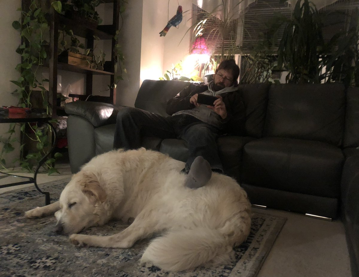 RodBader's tweet photo. Catching up on email with big Zeus! 🐶 https://t.co/Dcaj7XUljO