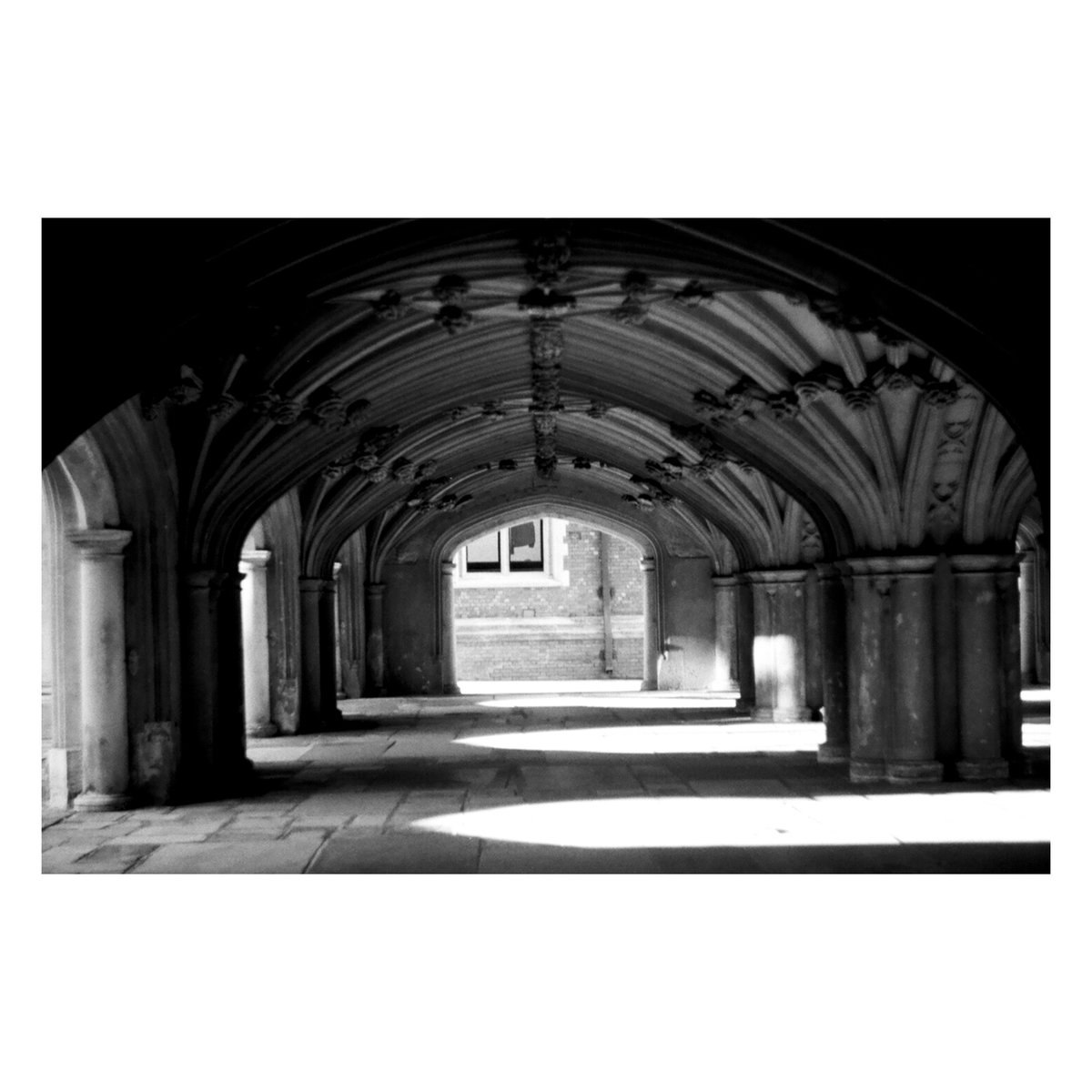 nickbrownfilms's tweet photo. Lundun
📷 Praktica LTL / Helios 44-2
🎞 Rollei Retro 400s
#kodak #lomography #ilford #photography #filmphotography #fomapan #tlr #twinlensreflex #blackandwhitephotography #london #londonphotography #mediumformat #35mm #montanus #rolleiflex #rollei #praktica https://t.co/aNtgFxmcXI