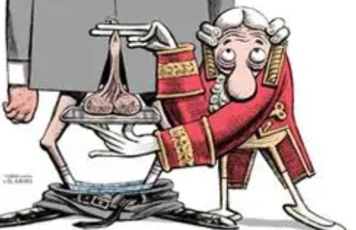 licytejada's tweet photo. ¡A ver cuándo el indicador de liderazgo deja de ser "los machotes con huevos"! salvadores de la nada, reinvincadores de derechos  que siempre tuvimos, falsos políticos, que ya es muy alta la factura ecológica, social y económica que hemos pagado todos.
#gentedebuenafe https://t.co/XuutyVzV1k