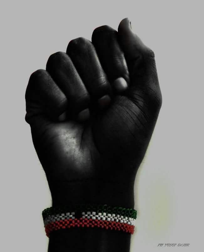 somaliland tweet media
