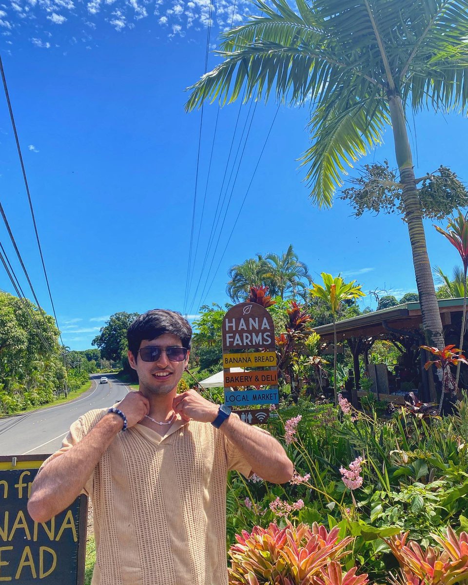 naksmaks's tweet photo. hawaii https://t.co/0NqlxCmQ4F