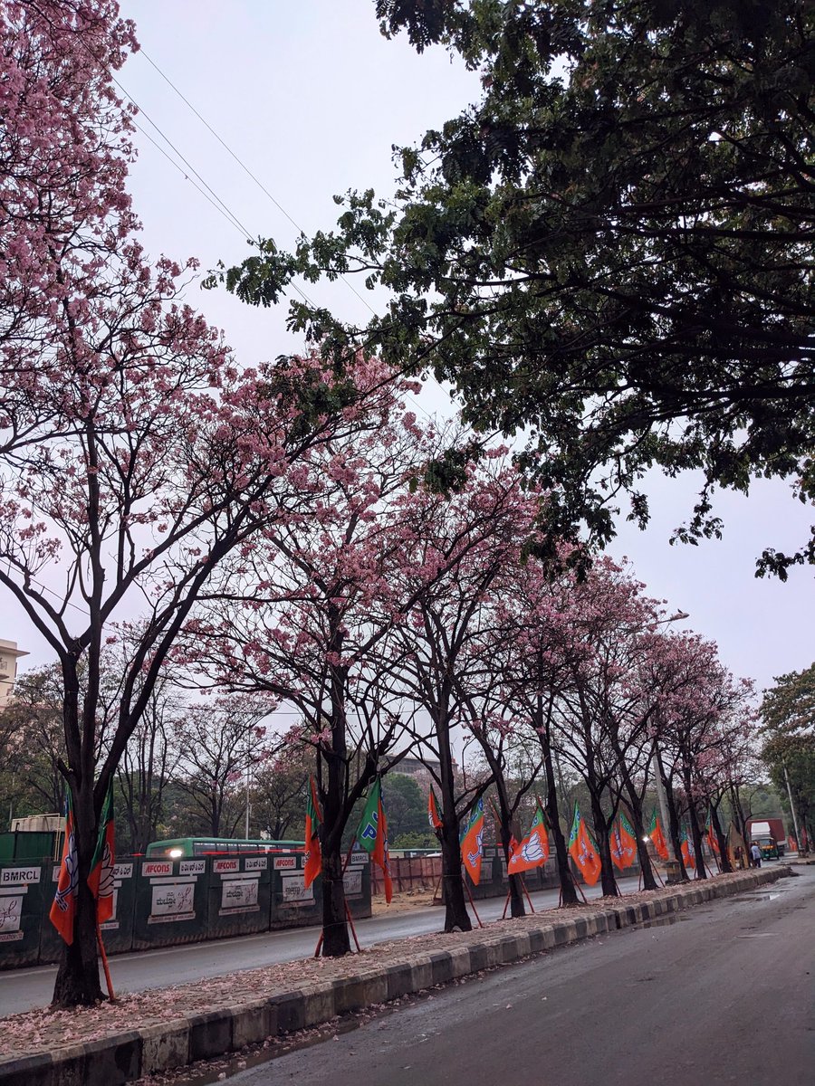 📊 Rajesh Bhattad | theRevOpsGuy tweet media