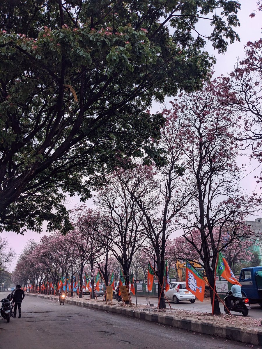 📊 Rajesh Bhattad | theRevOpsGuy tweet media