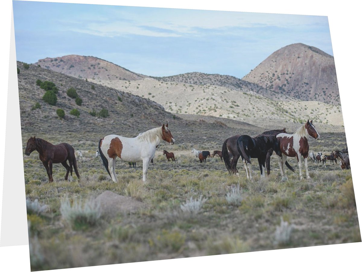 FonDenton_Art's tweet photo. #SendCardsNotTexts! Special people deserve art and a personal touch. #Framable too!
Find It: https://t.co/UpyWpyNLVs
#WildHorse #Horse #Horses #Mustangs #SpringIntoArt #Cards #GreetingCards #Write #Gifts #HolidayCards #BuyIntoArt #TheArtDistrict #HorseLover #PhotographyIsArt https://t.co/E8C0a4K4GO