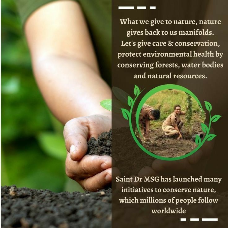 पेड़ भूमि के जलस्तर को बढ़ाए रखते हैं और वातावरण से कार्बनडाईऑक्साइड को कम करते हैं l इसलिए पेड़ लगाएं प्रकृति,जल व जीवन बचाएं l Saint Gurmeet Ram Rahim Ji की प्रेरणा से डेरा सच्चा सौदा के अनुयायियों ने साल में 25 पौधे लगाने का संकल्प लिया है l #GiftOfTrees 
Nature Campaign
