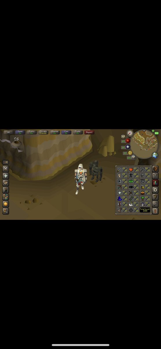 IsaacBuell's tweet photo. @RSAlfierules Lvl 56 rock golem https://t.co/WRjDxN1uJ7