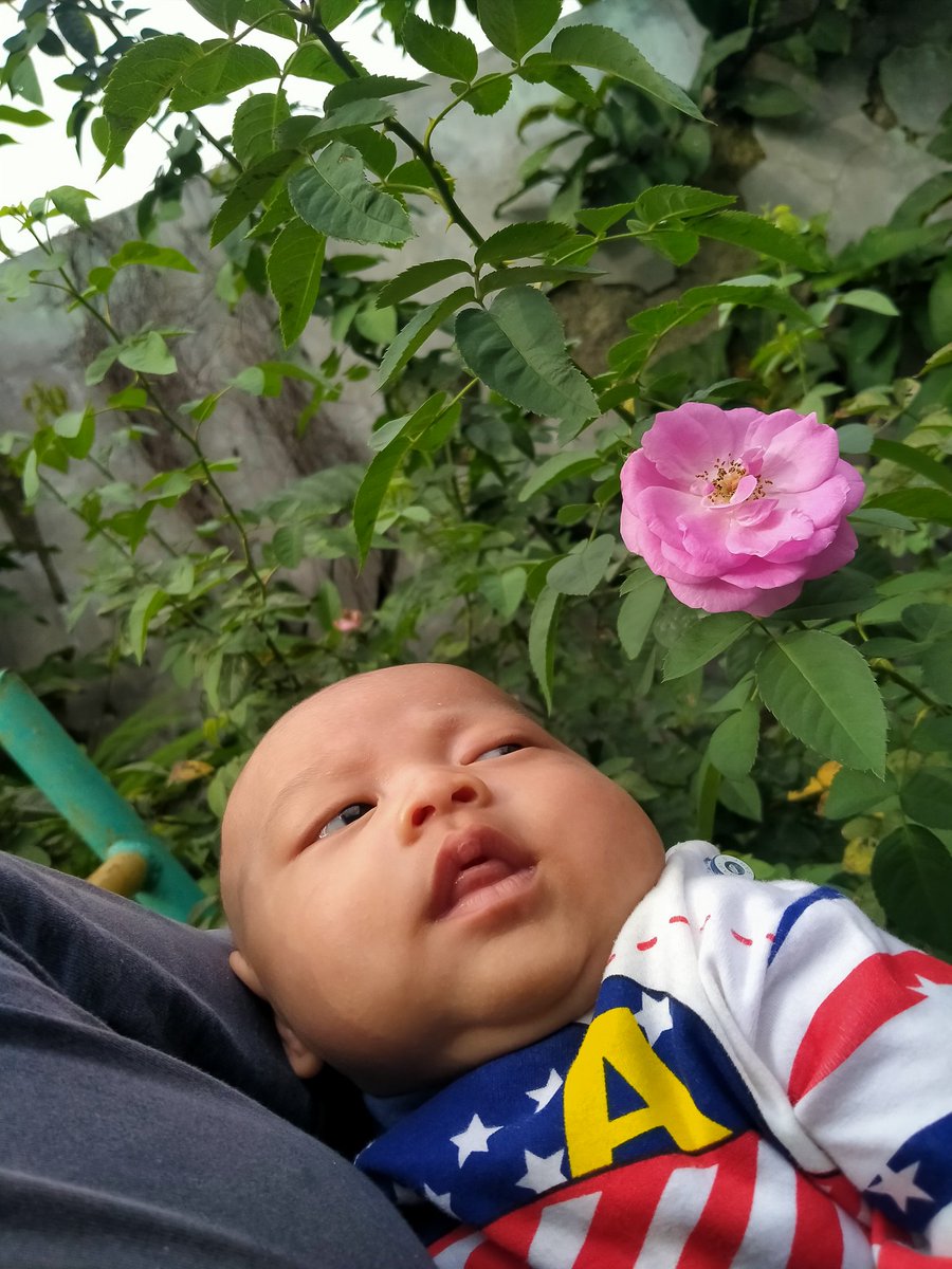 go_man19's tweet image. Hello sunshine!