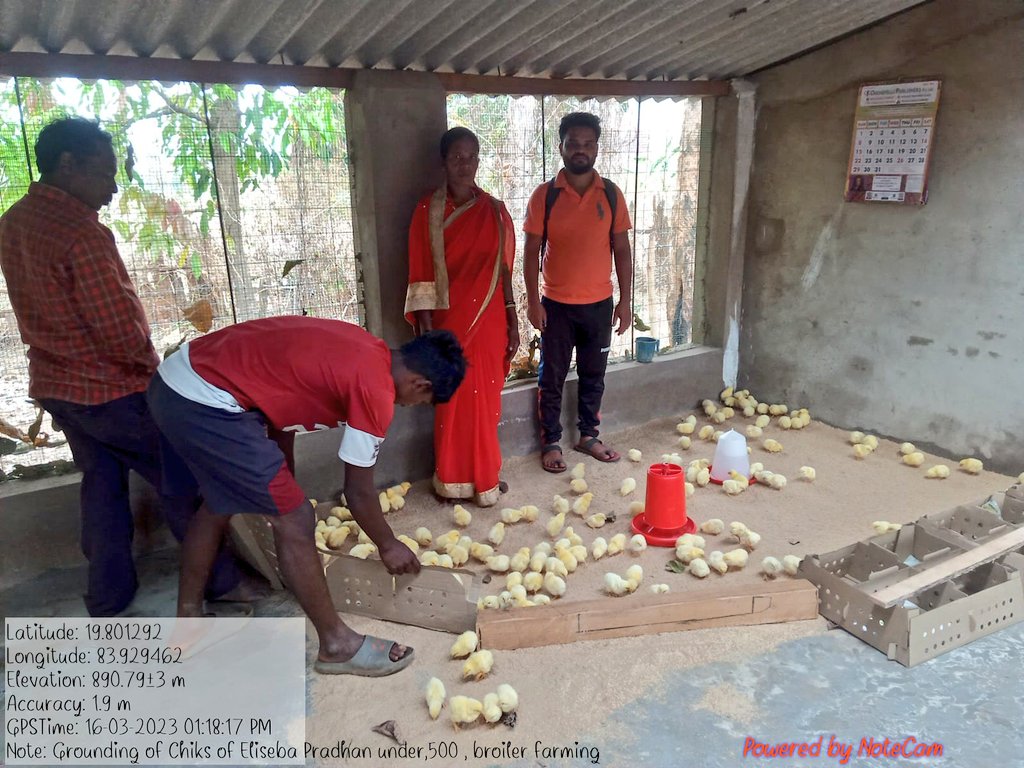 OvsaKandhamal's tweet photo. Verification of different broiler and layar units of Kotagard block under #Stateplan of #Animal_Resource_Development_Dept. @CMO_Odisha @DMKandhamal @farddept @mission_shakti @rajaaswain @scstrti @SecyChief @MoSarkar5T @dahvsodisha https://t.co/GC8BTN3zMS