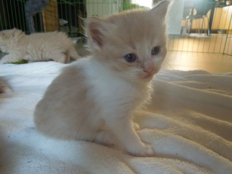 thhere is so mutch,, angr in mi hart,,,