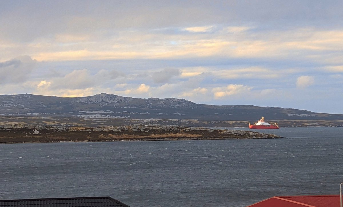 Not every day you look out your living room window to see the RRS Sir David Attenborough. Welcome home! 🇫🇰

#RRSSirDavidAttenborough 
#FalklandIslands 
🛳️🏔️