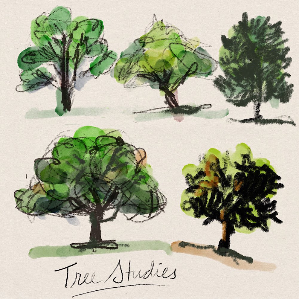 Tree Studies
#illustration by #henryseneyee 03/17/2023
#cafesketch #pleinair #treedrawing #treepainting