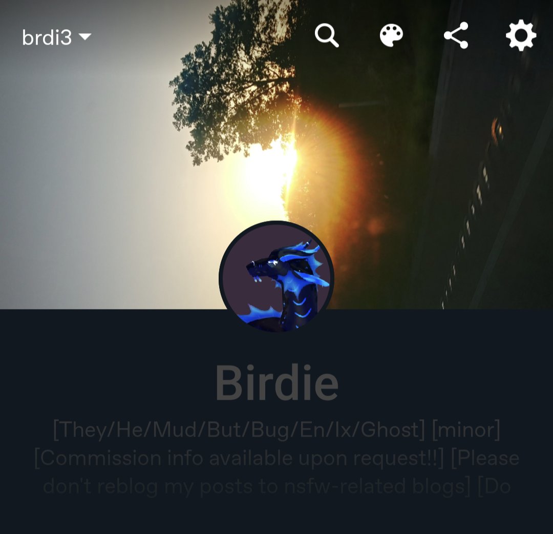 Like_The_B1rd's tweet photo. Alright tweettwters. I'm going to be taking a (most likely) extended break until I feel like I can safely use this app without hearing abt 100 new transphobic laws and hate crimes. Find me on Tumblr @ brdi3, and feel free to dm me if u want my discord or can't find my tumblr. <3 https://t.co/4kA9SUO2Aj