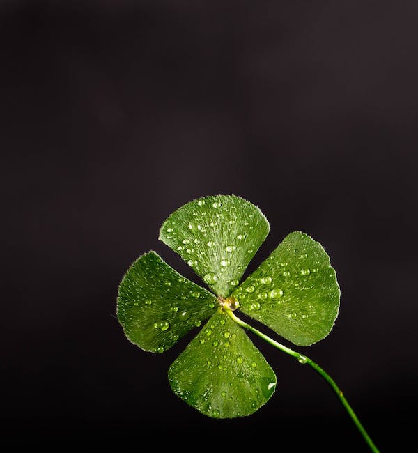 MRogersWrites's tweet photo. Happy St. Patrick’s Day (to those who celebrate)!
Four-leafed clovers are a symbol of luck.
As a kid, I would search for one. When I would find one, it felt like a victory.
Are there symbols of luck in your story?
#WriterConnectQ #WritingQ #WritingCommunity #Discussion https://t.co/WB41eEnf0H