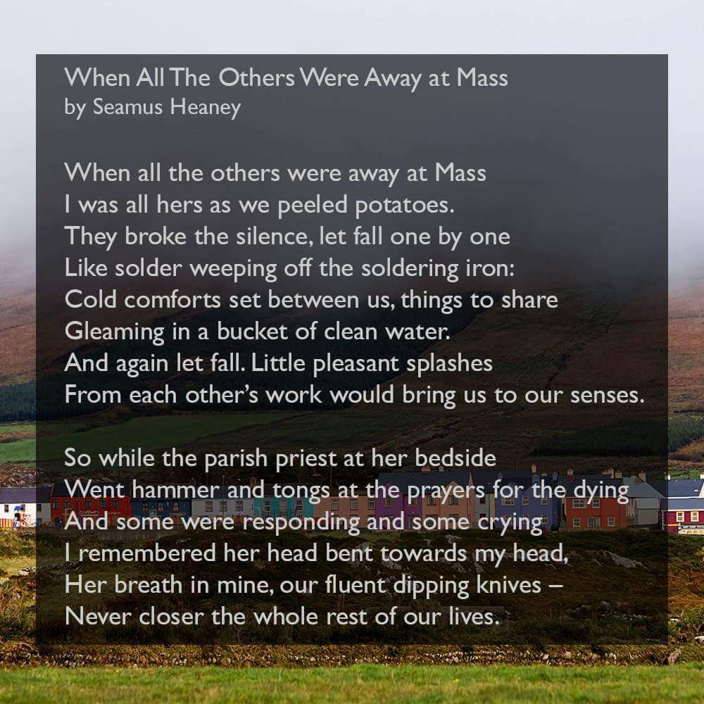 Will always be my favourite 💚 #StPatricksDay2023 #SeamusHeaney