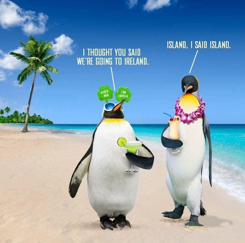 Tommy Edwards (@tedwards0707) on Twitter photo 