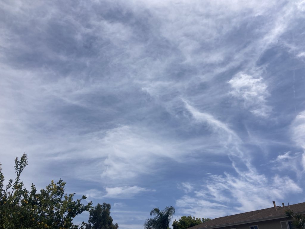 NKaravedas's tweet photo. Hey beautiful, I’ve missed you!! #Huntington #Cali #SpringIsClose 😎🙌🏽☀️🌴 https://t.co/Q1dSI9PnSg