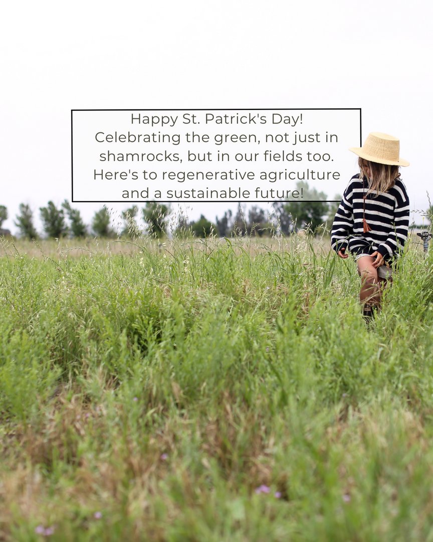 🍀Happy St. Patrick's Day!🍀
Celebrating the green, not just in shamrocks, but in our fields too. Here's to regenerative agriculture and a sustainable future! 
#happystpatricksday #greenpastures