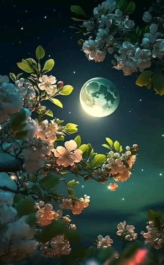 Ne kadar naif ve insanın gönlünün bam telini titreten bir duâ:
Kim Senin rızanla bir sevinç yaşıyorsa, 
dâim kıl Allah'ım...
Kim de Senden ötede hüzne dalmışsa, 
sahip çık Allah'ım...

Hayırlı Geceler 🌚🌝