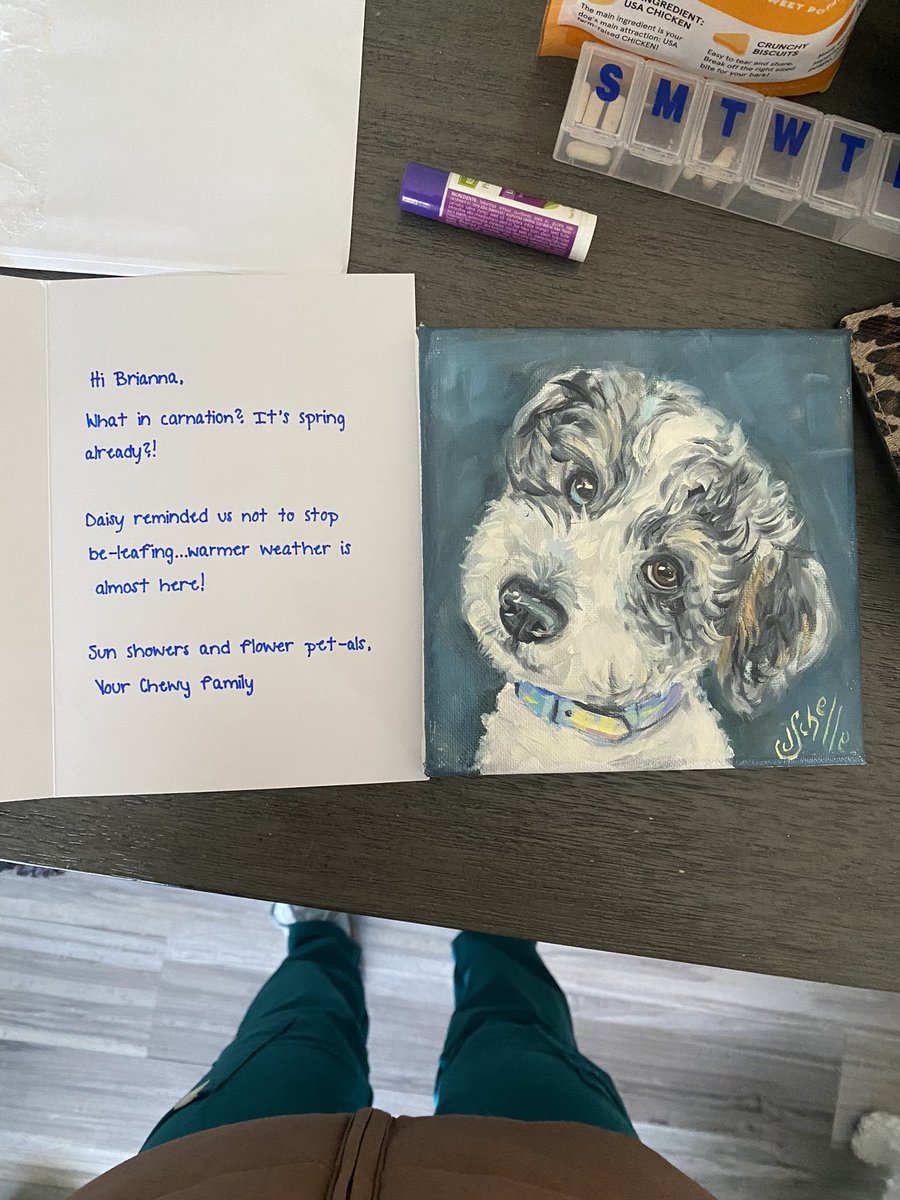brirbru's tweet photo. The sweetest gift. Started crying. I love you @Chewy https://t.co/pTVwp7Xhi8