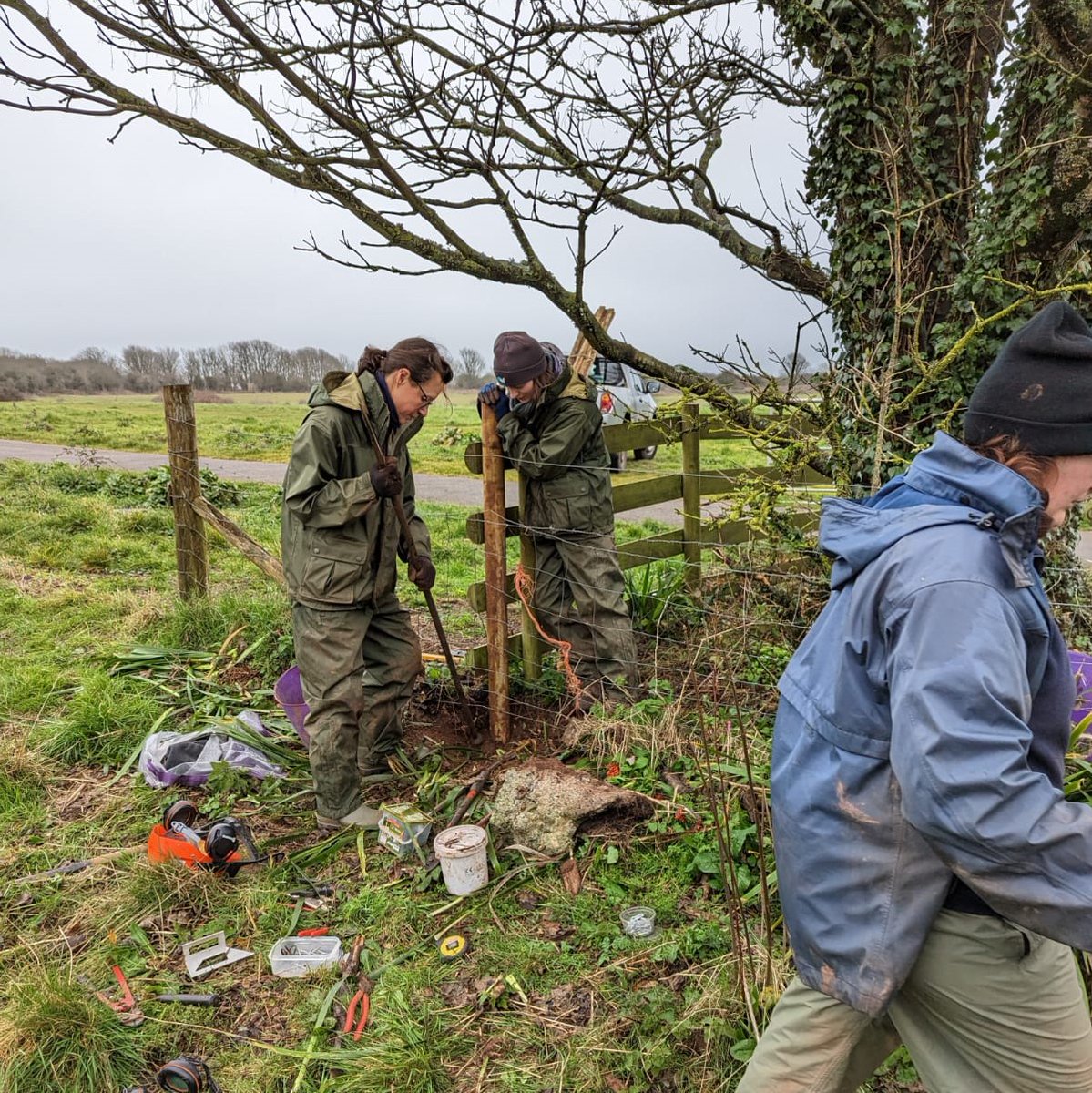 BerryHeadRanger's tweet photo. The volunteer team at Berry Head has been doing a great job of repairing fencing around the reserve this week.

#fencing #fencerepairs https://t.co/INthsolNbz