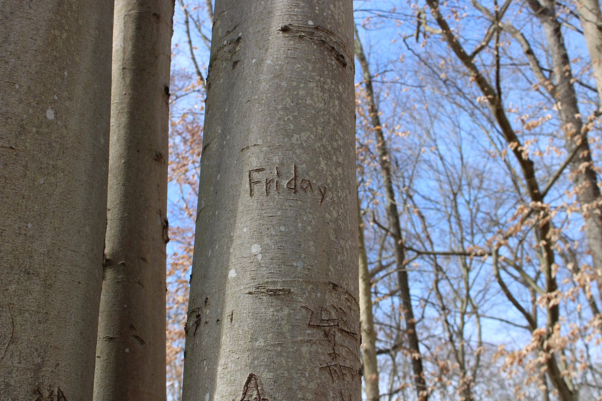 Friday (@luke_genocide) on Twitter photo 