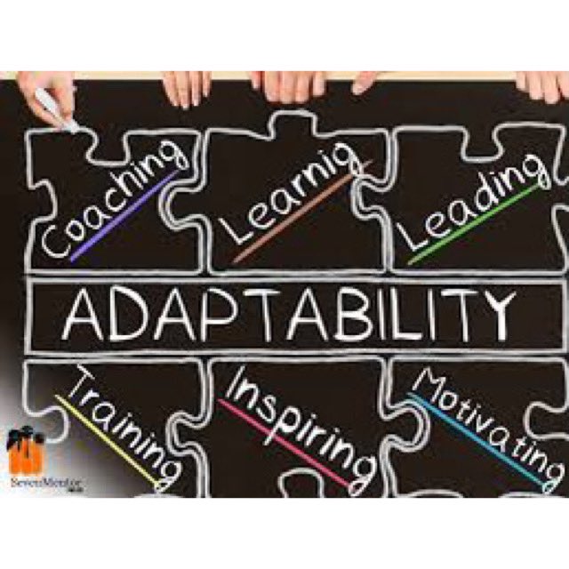 Graffin Player Development tweet media