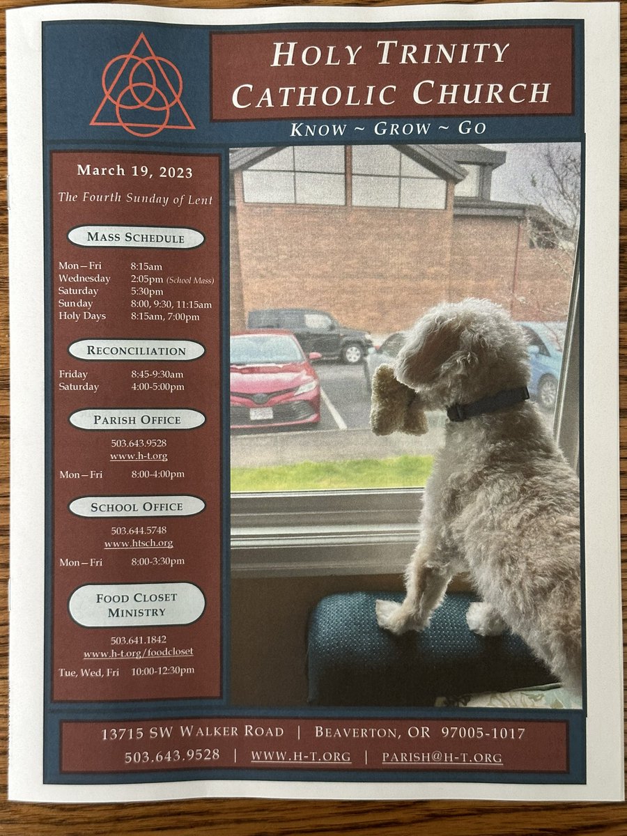 MyDogSnickers's tweet photo. Woo! Hooo!  I made the cover of my church’s bulletin! Woof! https://t.co/3T3CeE2WiO