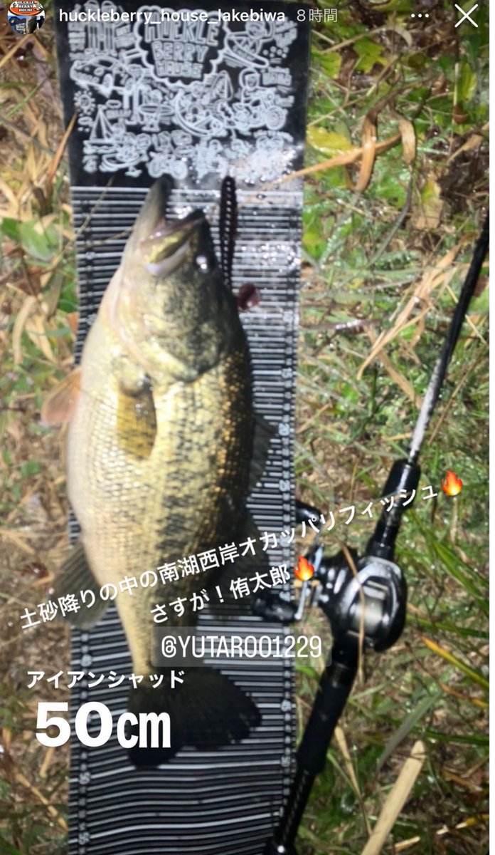 huckle_biwako's tweet photo. ハックルフィールドスタッフ釣果情報
⁦@huckle_biwako⁩ 
#ハックルフィールドスタッフは今日もどこかで https://t.co/GdB8THl1RF