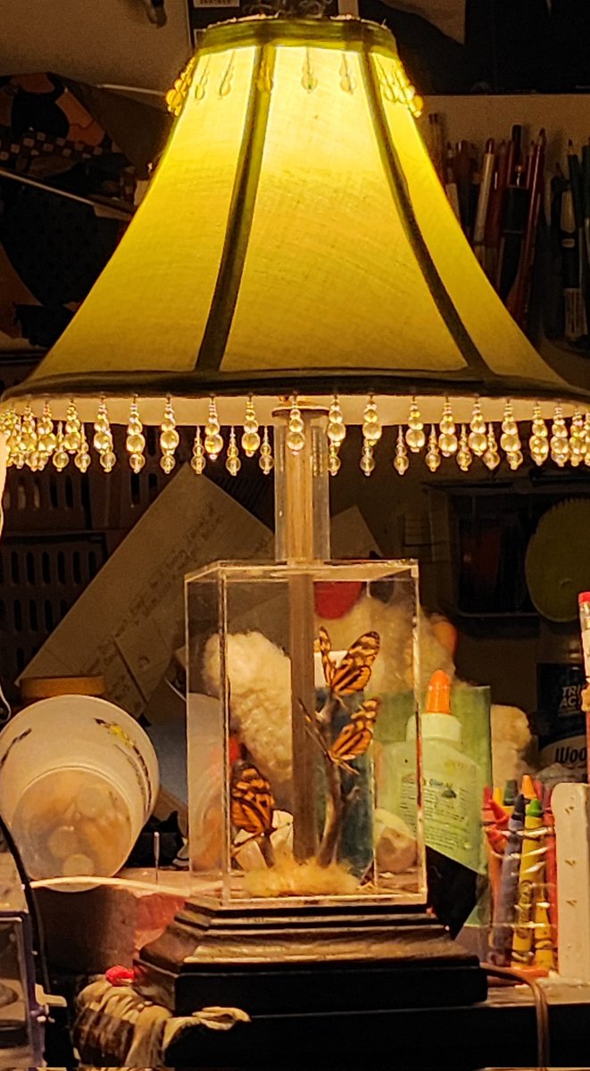 Just wanted to share my kickass new lamp I bought thrifting while in Colorado. Its from the 1970s and has real butterflies in it! Excuse my messy desk behind it LOL. Lamp shade was already mine, thought it was on theme so I used it