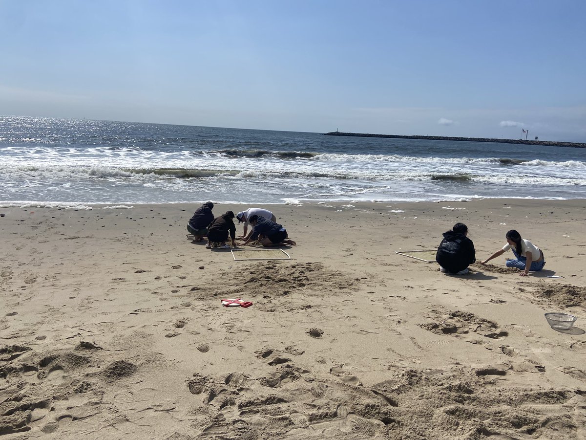 amberrbratcher's tweet photo. They’re at it again! My Coastal Ecology Lab spent the afternoon yesterday quantifying biodiversity and plastic pollution at a local beach, thinking about how these two very different measures might be used to characterize beach health. @SeaverLMU https://t.co/KDiVWKYzTs