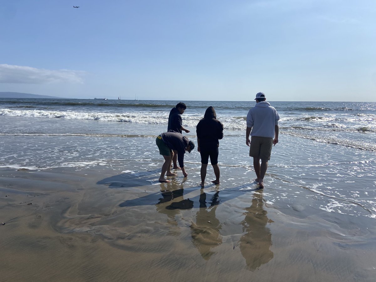 amberrbratcher's tweet photo. They’re at it again! My Coastal Ecology Lab spent the afternoon yesterday quantifying biodiversity and plastic pollution at a local beach, thinking about how these two very different measures might be used to characterize beach health. @SeaverLMU https://t.co/KDiVWKYzTs