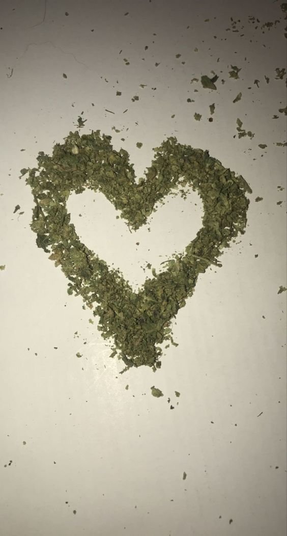 te amo