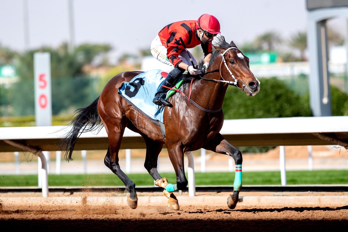 ابو راكان ينتصر ابن استرولوجي والام بنت جواد كسبت سباق وانتجت ٢ فائزين، خوالها  مستند وهاترك، من انتاج عبدالكريم ال منصور والام متواجده عنده، الف مبروك للجميع ومتبوعه