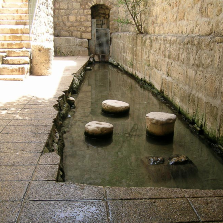 St. Austin Catholic Parish tweet media