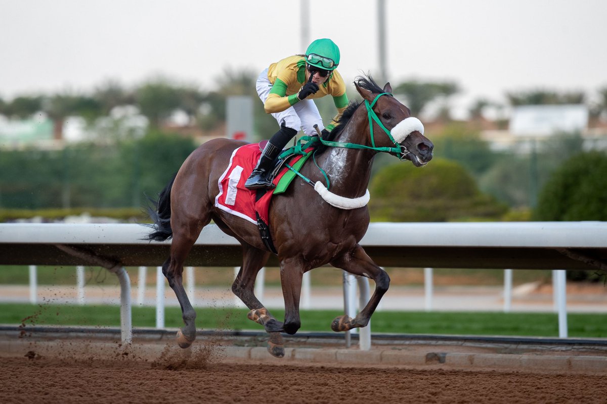 رستم باشا يحصد ٣ انتصار من ٣ مشاركه ابن سمر فرونت والام بنت جاينتس كوزواي حلت بالميزان وانتجت ٣ فائزين امها كسبت G3 وحلت ٢ في G1 ولها اخ كسب G3، من انتاج سعد عبدالواحد والام متواجده عنده، الف مبروك للجميع ومتبوعه