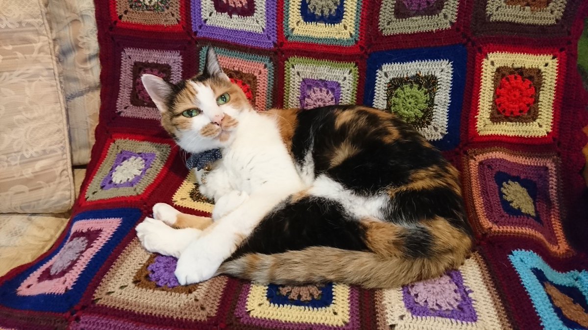 ３月１８日㈯の、思い出みーちゃんです🤗
🌟2020🌟
ホカペコーナーでまったり過ごしています🐹💕

今日から久しぶりに出勤します。
だらだらと読書三昧の日々で身体が訛っていると思います😅
安全運転、安全作業を心掛けてきます😉🤚