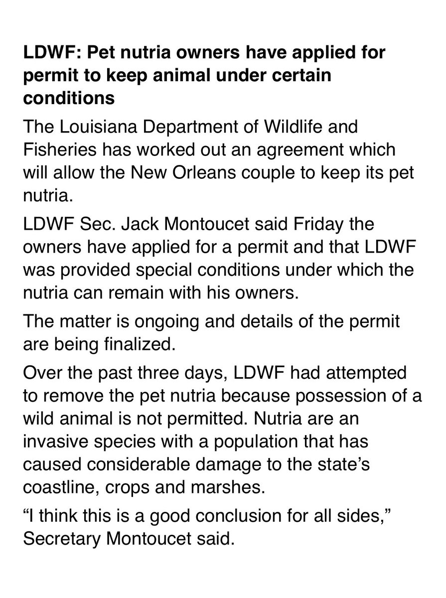KellyAnneTV's tweet photo. BREAKING: Neuty the nutria will stay with its owners, per @LDWF, pending a special permit #FreeNeuty https://t.co/1mbD4QwOYi