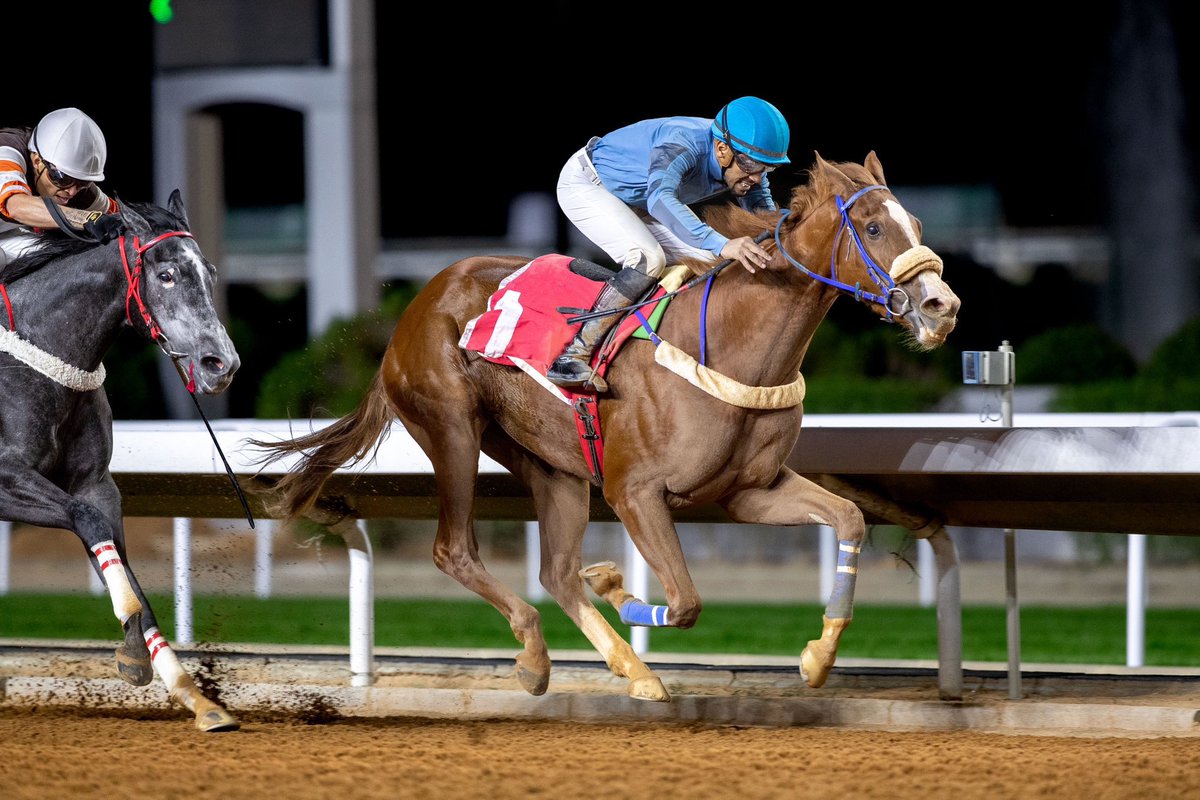 اميره فهد تحصد ٢ انتصار بدعم نادي سباقات الخيل للافراس المباعه في المزاد بنت ويكد سترونق والام بنت تيز ووندرفول كسبت ٣ سباقات وانتجت ٢ فائزين،  ب ١٤٥ الف من المزاد، من انتاج اسطبل سطور والام عند فهد بن هيف، الف مبروك للجميع ومتبوعه