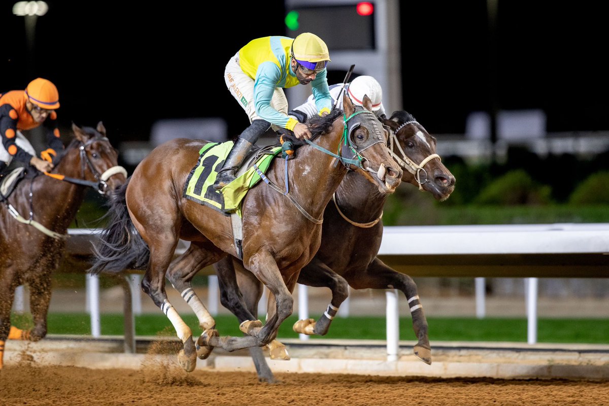 انتجين يحصد ٢ انتصار بدعم نادي سباقات الخيل للامهار المباعه في المزاد ابن اكسبو والام بنت اي اوف ذا ليوبارد حلت بالميزان وانتجت ٢ فائزين امها كسبت G3، من انتاج عبدالعزيز الناصر والام متواجده عنده، الف مبروك للجميع ومتبوعه