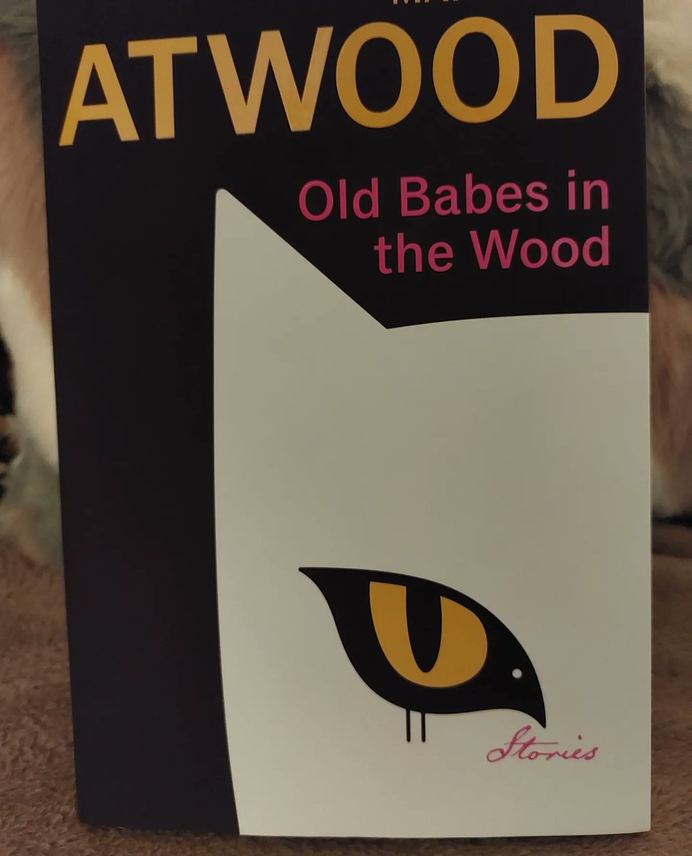 Just back from seeing the great Margaret Atwood at the @liverpoolphil . She was interviewed by Kirsty Wark, and there was a reading by Maxine Peake. Her new book, Old Babes in the Wood, is available now. #oldbabes #oldbabesinthewood #margaretatwood
