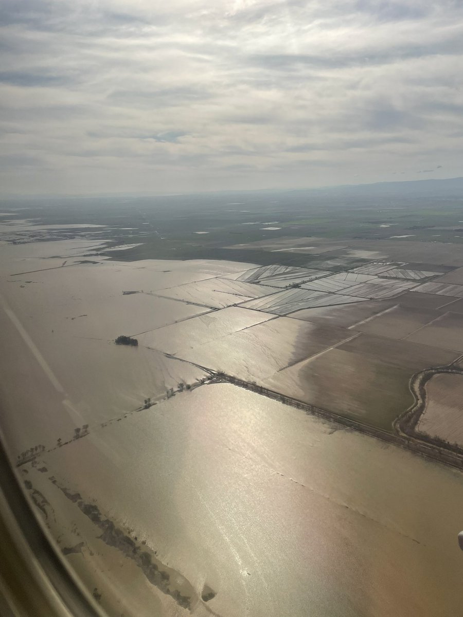 Wade Crowfoot tweet media