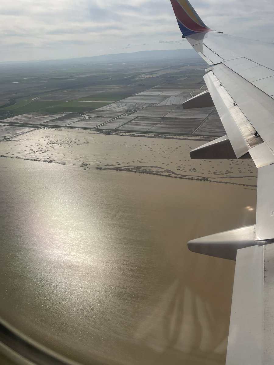 Wade Crowfoot tweet media